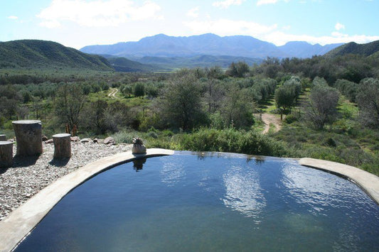 Numbi Valley De Rust Farmstay De Rust Western Cape South Africa Cactus, Plant, Nature, Lake, Waters, Swimming Pool