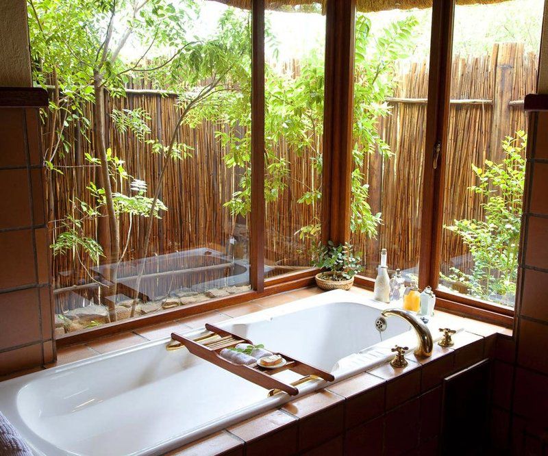 Nungubane Game Lodge Welgevonden Game Reserve Limpopo Province South Africa Bathroom, Garden, Nature, Plant