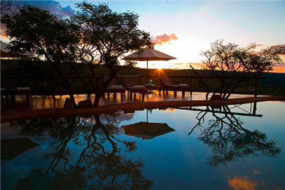 Nungubane Game Lodge Welgevonden Game Reserve Limpopo Province South Africa Swimming Pool