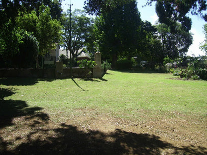 Nutmeg Guest House, Palm Tree, Plant, Nature, Wood, Tree, Cemetery, Religion, Grave, Garden