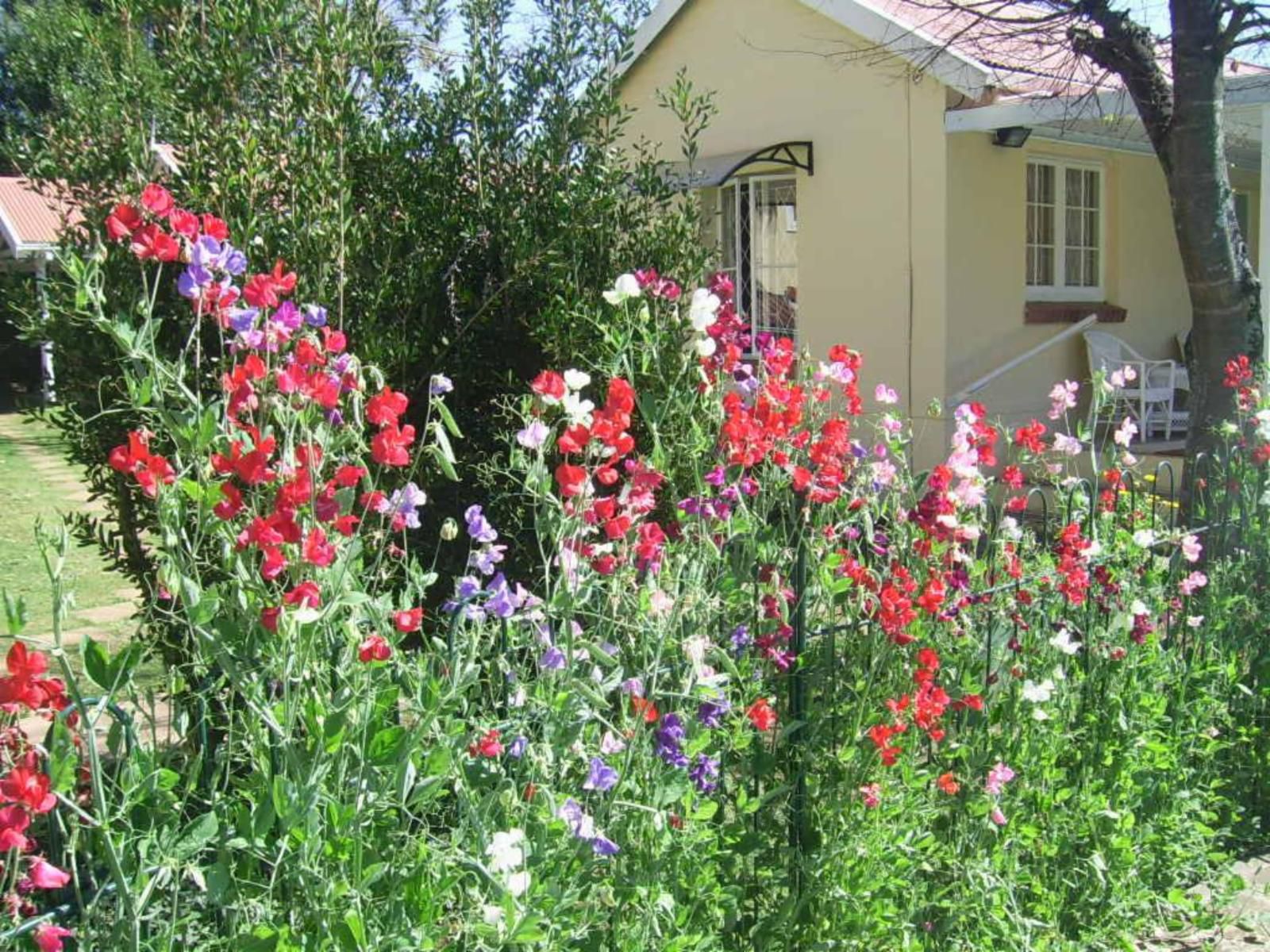 Nutmeg Bandb Howick Kwazulu Natal South Africa House, Building, Architecture, Plant, Nature, Garden