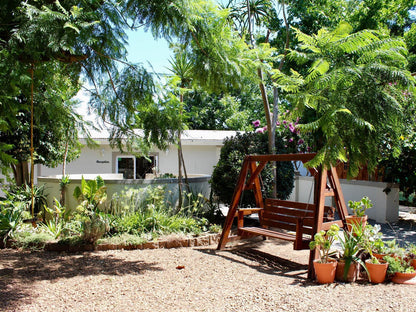 Nuwerus Lodge Paarl Western Cape South Africa Palm Tree, Plant, Nature, Wood, Garden