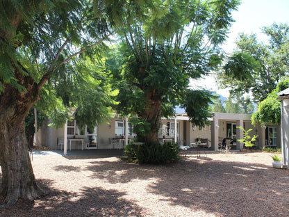 Nuwerus Lodge Paarl Western Cape South Africa House, Building, Architecture, Palm Tree, Plant, Nature, Wood