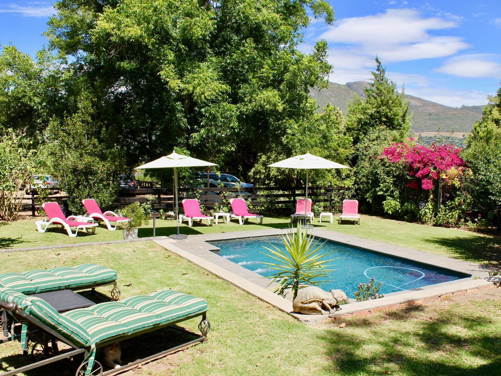Nuwerus Lodge Paarl Western Cape South Africa Complementary Colors, Swimming Pool