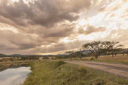 Nxala Ranch Dundee Kwazulu Natal South Africa Sepia Tones, Lowland, Nature