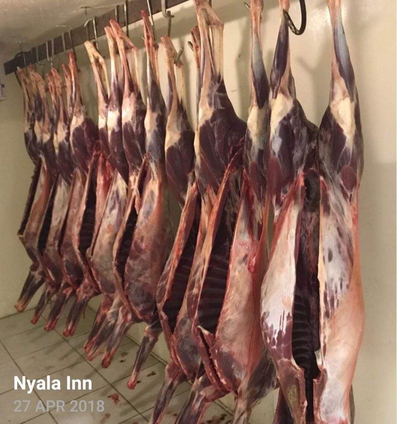 Nyala Lnn Marble Hall Limpopo Province South Africa Meat, Food