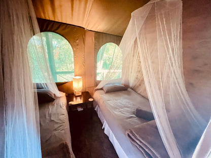 Nyala Luxury Safari Tents Marloth Park Mpumalanga South Africa Tent, Architecture, Bedroom