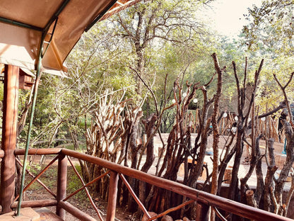 Nyala Luxury Safari Tents Marloth Park Mpumalanga South Africa Bridge, Architecture, Plant, Nature