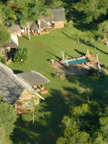 Nyala Lodge And Wedding Venue Makhado Louis Trichardt Limpopo Province South Africa Palm Tree, Plant, Nature, Wood, Aerial Photography, Swimming Pool