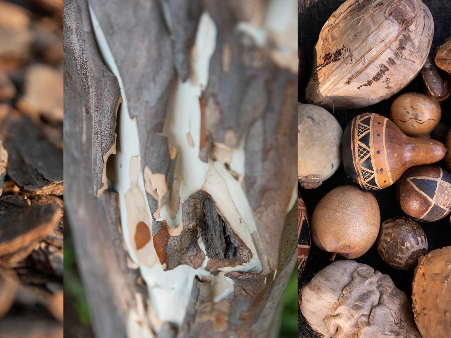 Nyala Safari Lodge Hoedspruit Limpopo Province South Africa Wood Texture, Texture, Wood