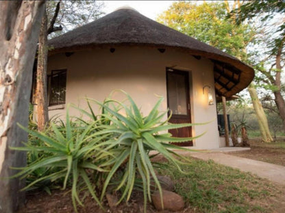 Nyala Safari Lodge Hoedspruit Limpopo Province South Africa House, Building, Architecture