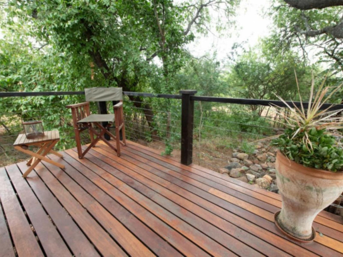 Nyaleti Lodge Hoedspruit Limpopo Province South Africa Garden, Nature, Plant