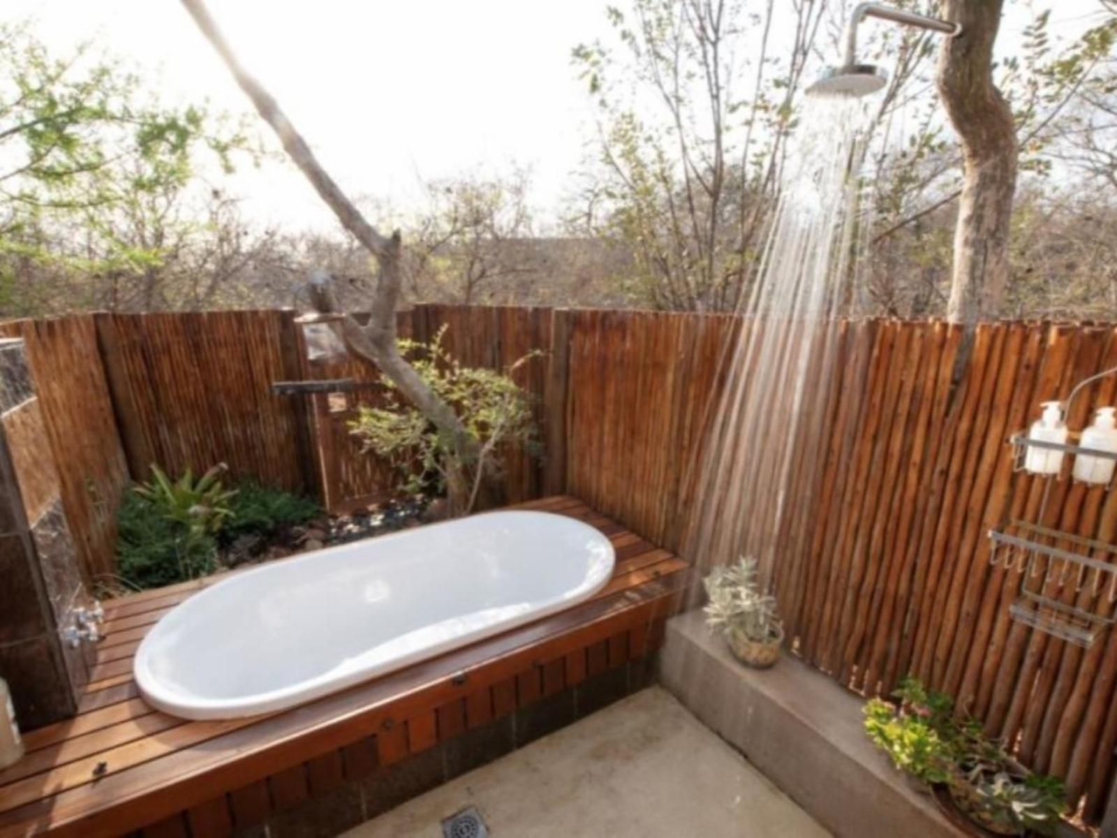 Nyaleti Lodge Hoedspruit Limpopo Province South Africa Bathroom, Garden, Nature, Plant, Swimming Pool
