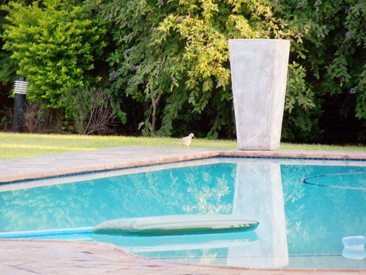 Nyamba Guest Lodge Raslouw Centurion Gauteng South Africa Complementary Colors, Swimming Pool