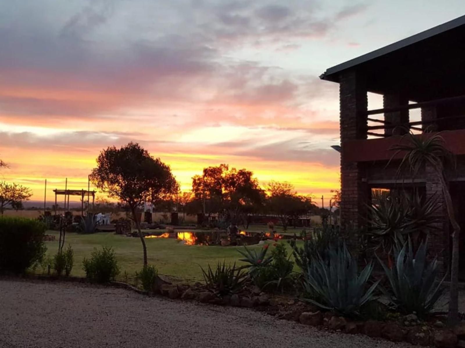 Nyani Lodge Dinokeng Dinokeng Gauteng South Africa Palm Tree, Plant, Nature, Wood, Sky, Sunset