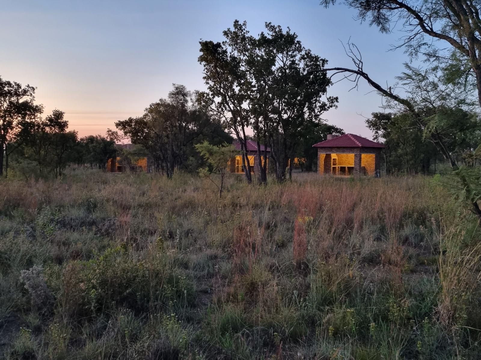 Nyani Lodge Dinokeng Dinokeng Gauteng South Africa Lowland, Nature