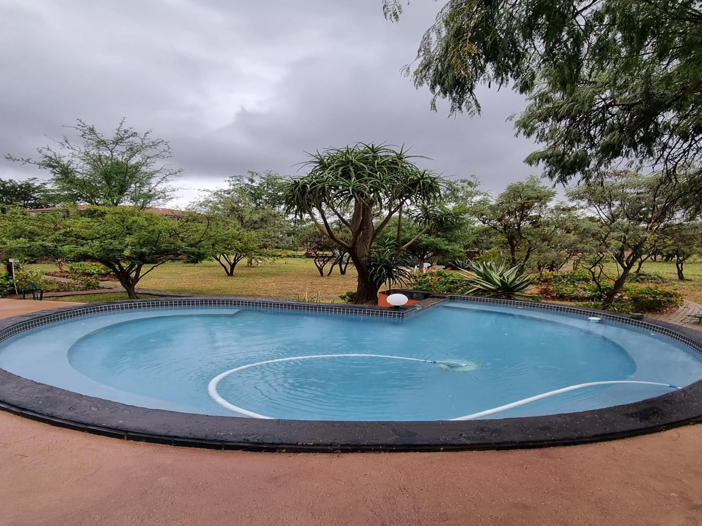 Nyani Lodge, Swimming Pool