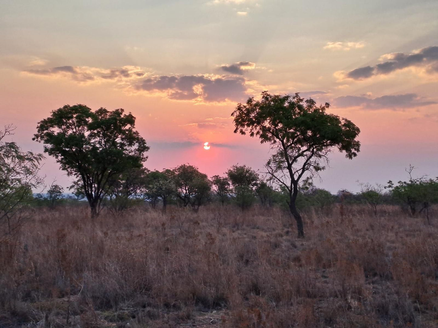 Nyani Lodge, Lowland, Nature, Sunset, Sky