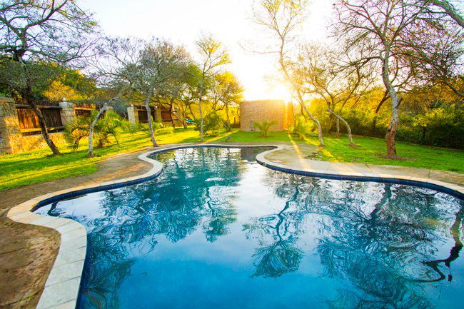 Nyaru Game Lodge Garden Route Brandwacht Western Cape South Africa Complementary Colors, Garden, Nature, Plant, Swimming Pool