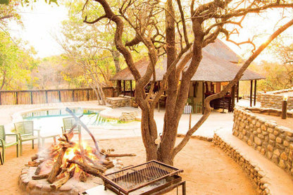 Nyati Pools Hoedspruit Limpopo Province South Africa Colorful