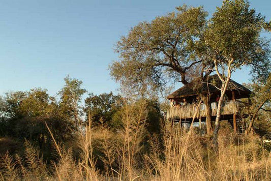 Nyati Pools Hoedspruit Limpopo Province South Africa Complementary Colors, Building, Architecture, Tree, Plant, Nature, Wood