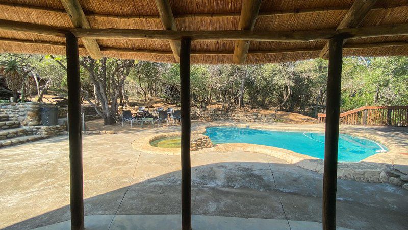 Nyati Pools Hoedspruit Limpopo Province South Africa Palm Tree, Plant, Nature, Wood, Swimming Pool