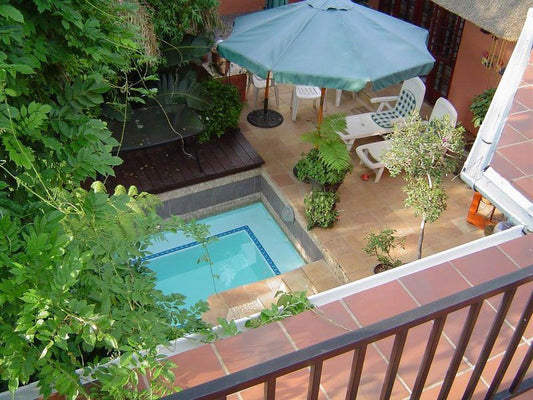 Nzianga Guesthouse Bedfordview Johannesburg Gauteng South Africa Garden, Nature, Plant, Swimming Pool