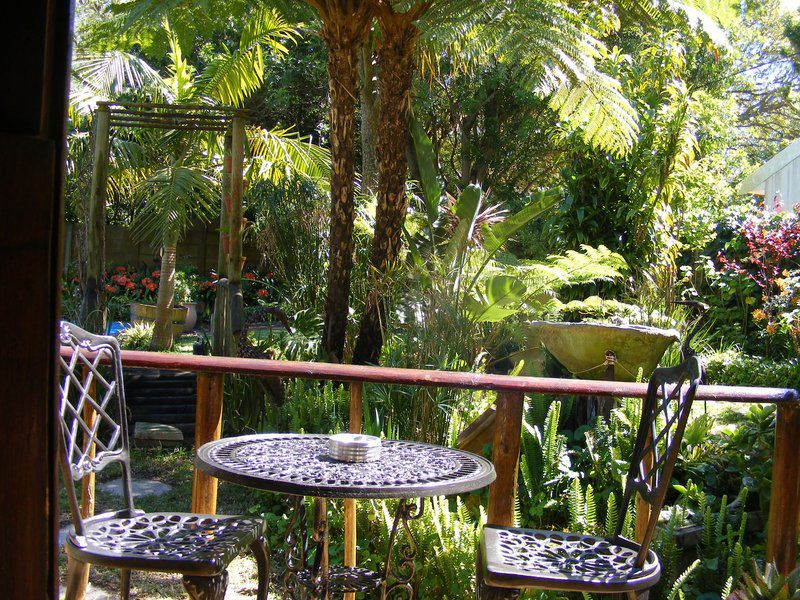 Oakburn Cottage Hout Bay Cape Town Western Cape South Africa Palm Tree, Plant, Nature, Wood, Garden