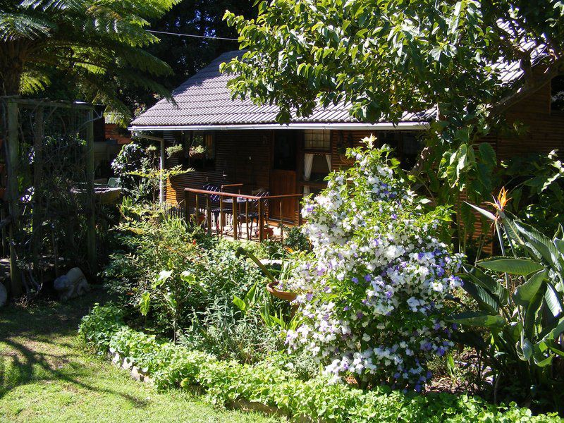 Oakburn Cottage Hout Bay Cape Town Western Cape South Africa House, Building, Architecture, Plant, Nature, Garden