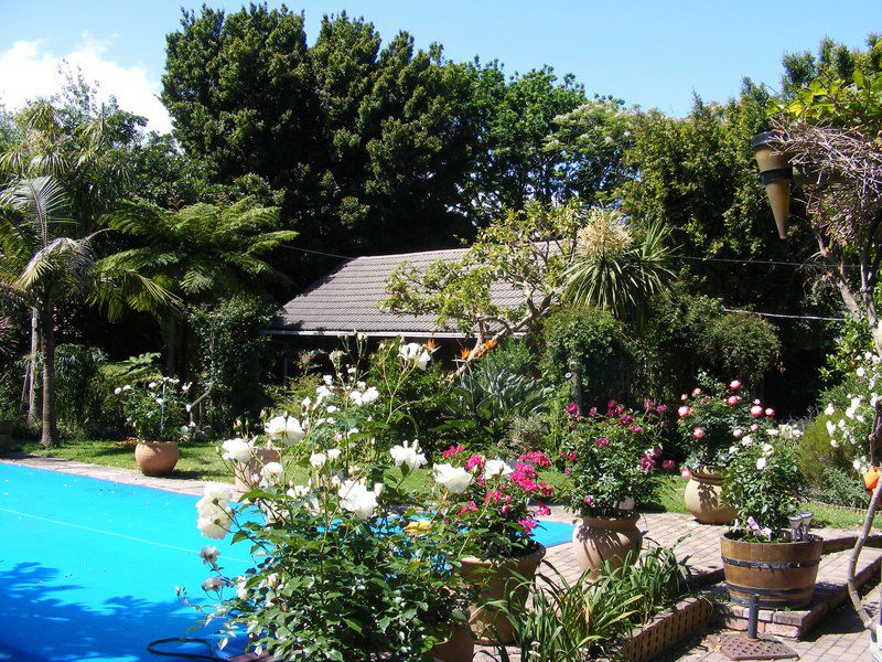 Oakburn Cottage Hout Bay Cape Town Western Cape South Africa Complementary Colors, House, Building, Architecture, Plant, Nature, Garden, Swimming Pool