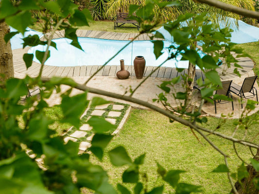 Oakdene Guest House, Colorful, Plant, Nature, Garden