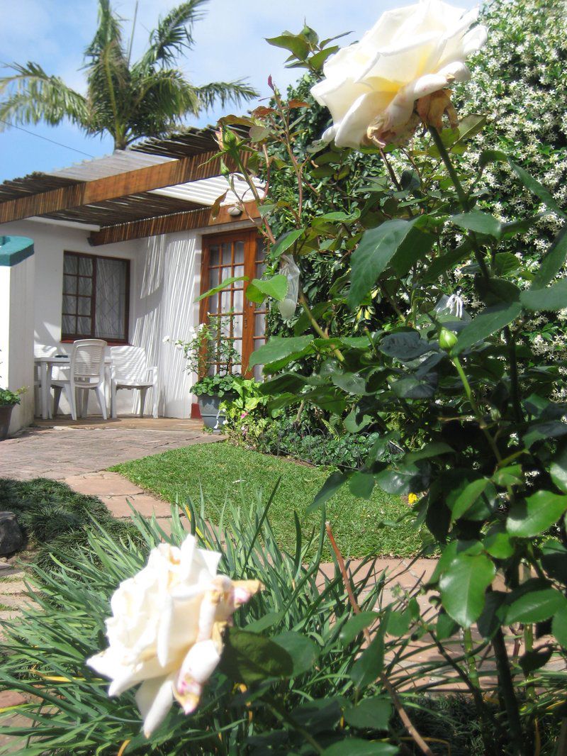 Oakhampton Berea El East London Eastern Cape South Africa House, Building, Architecture, Palm Tree, Plant, Nature, Wood