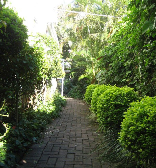 Oakhampton Berea El East London Eastern Cape South Africa Palm Tree, Plant, Nature, Wood, Tree, Garden