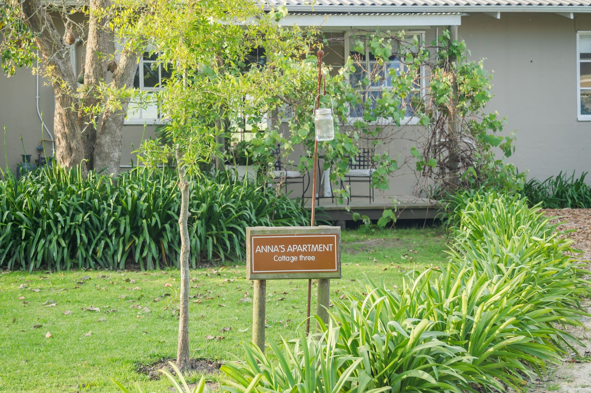 Oakhurst Farm Cottages Hoekwil Wilderness Western Cape South Africa Palm Tree, Plant, Nature, Wood