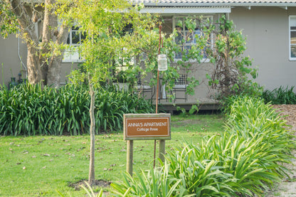 Oakhurst Farm Cottages Hoekwil Wilderness Western Cape South Africa Palm Tree, Plant, Nature, Wood