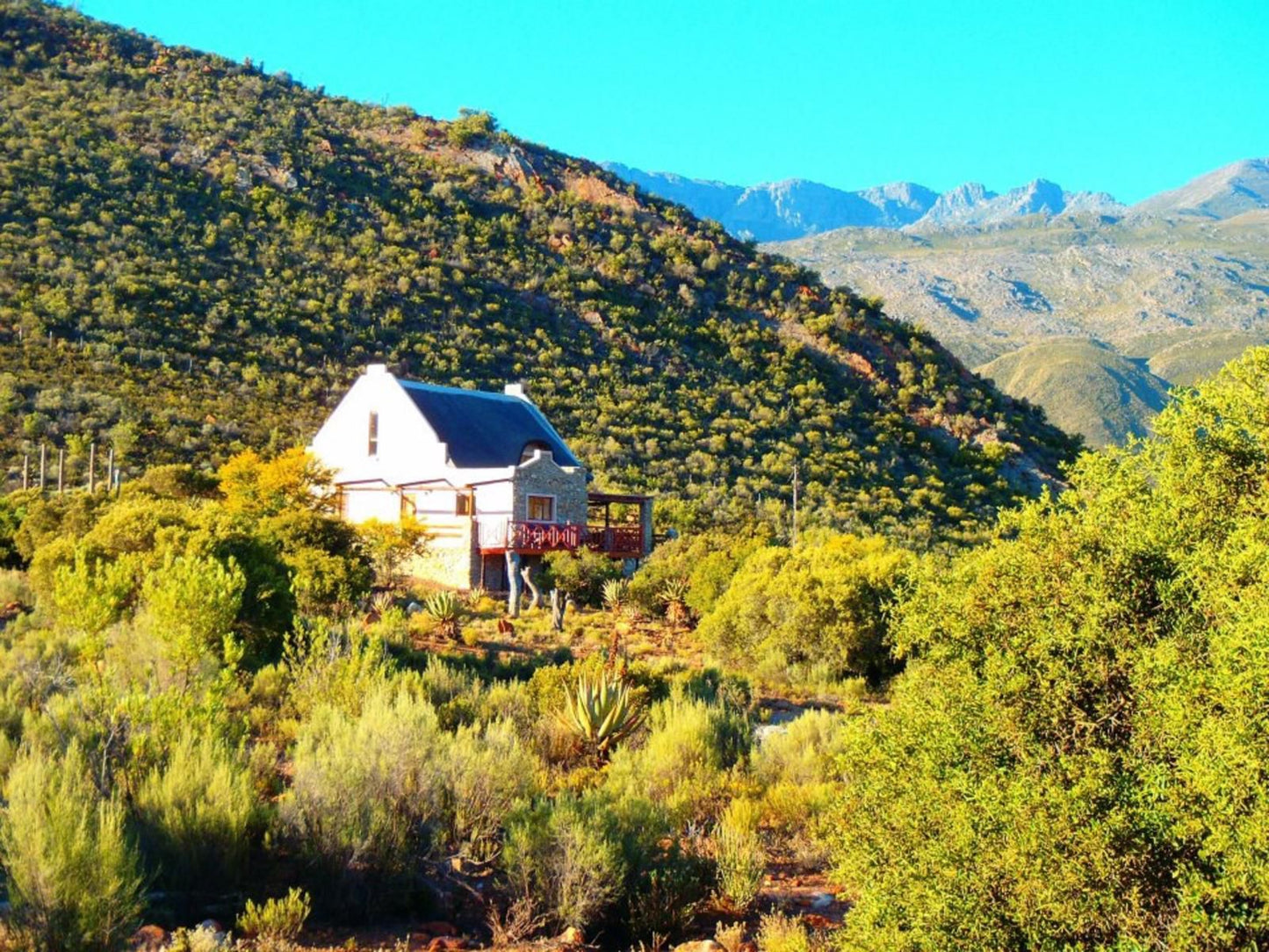 Oaksrest Vineyards Guest Farm Ladismith Western Cape South Africa Complementary Colors