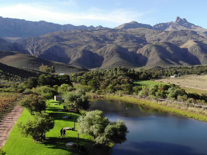 Oaksrest Vineyards Guest Farm Ladismith Western Cape South Africa Highland, Nature