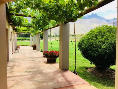 Oaksrest Vineyards Guest Farm Ladismith Western Cape South Africa Garden, Nature, Plant