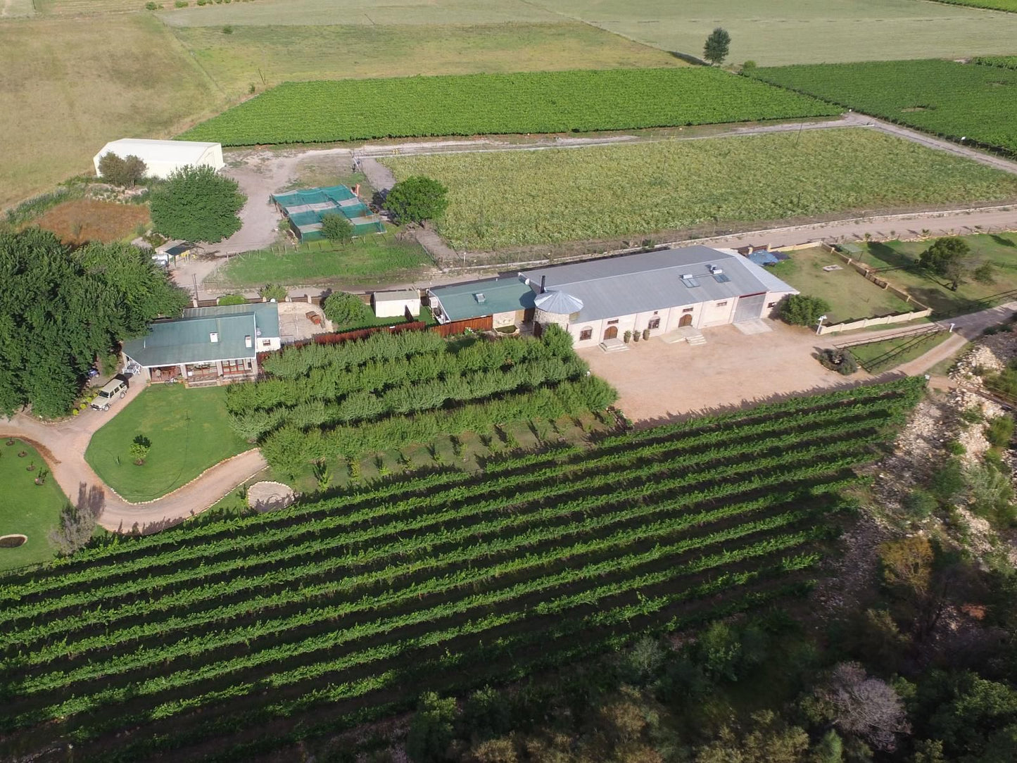 Oaksrest Vineyards Guest Farm Ladismith Western Cape South Africa Field, Nature, Agriculture, Aerial Photography