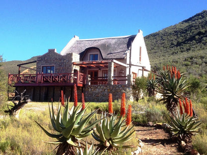 Oaksrest Vineyards Guest Farm Ladismith Western Cape South Africa Complementary Colors, Building, Architecture, Cactus, Plant, Nature