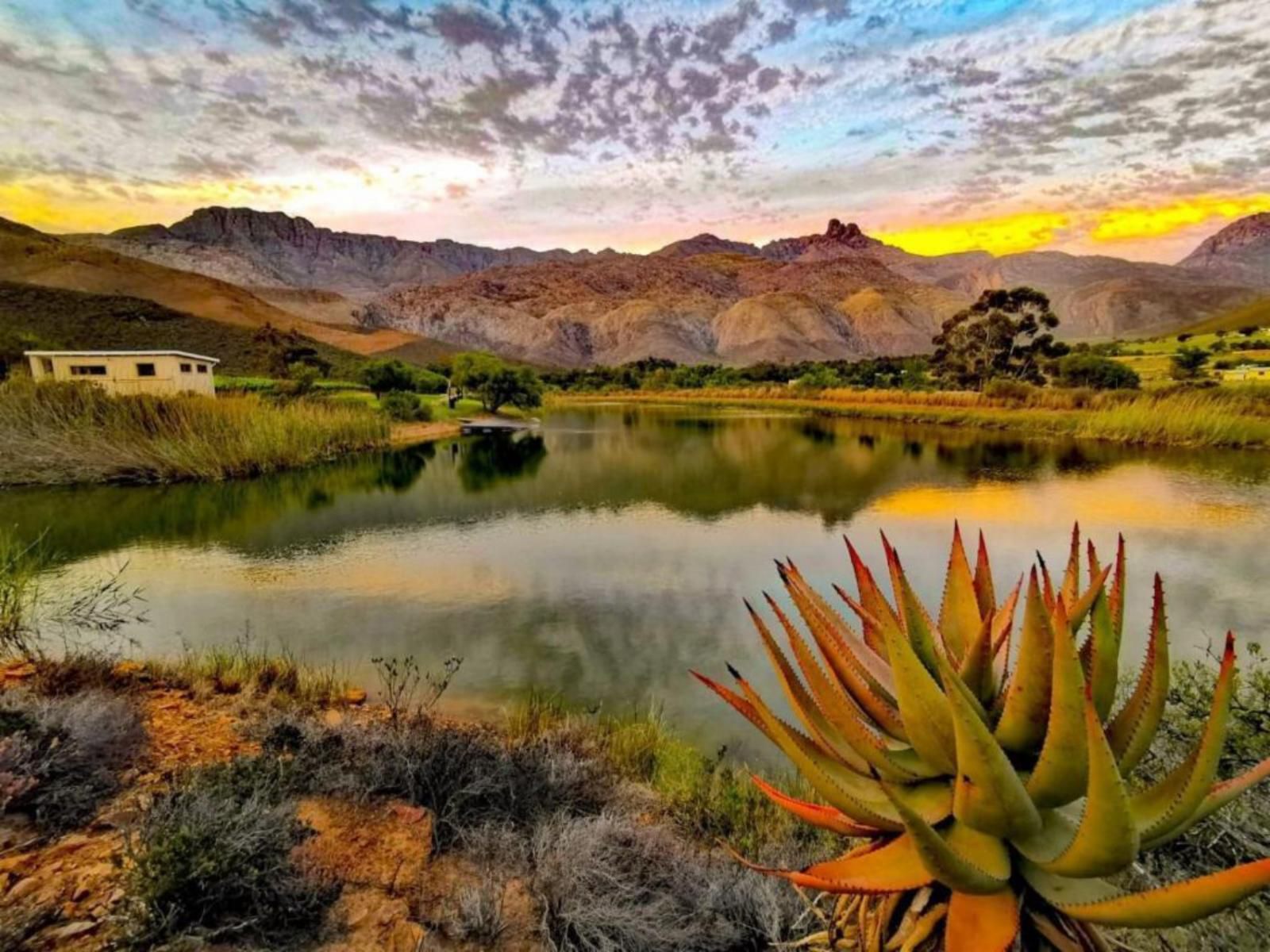 Oaksrest Vineyards Guest Farm Ladismith Western Cape South Africa Nature