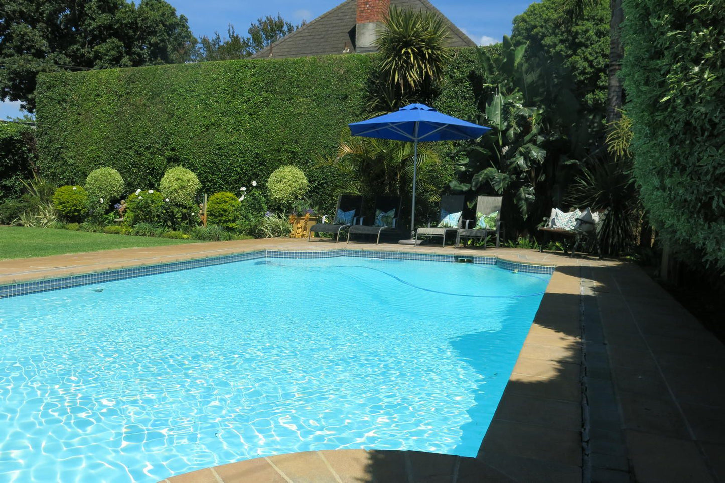 Oakvale Lodge Rondebosch Cape Town Western Cape South Africa Garden, Nature, Plant, Swimming Pool