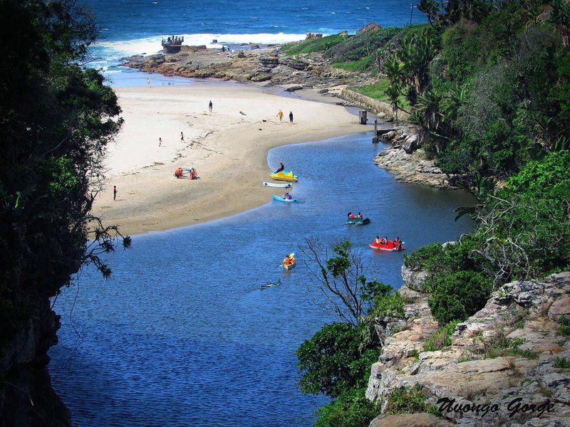 Oasis Caravan Park Camping And Chalets Uvongo Margate Kwazulu Natal South Africa Beach, Nature, Sand, Island