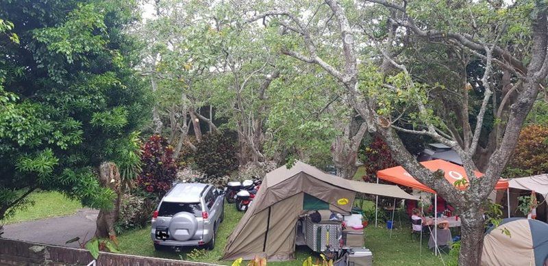 Oasis Caravan Park Camping And Chalets Uvongo Margate Kwazulu Natal South Africa Tent, Architecture, Tree, Plant, Nature, Wood, Car, Vehicle