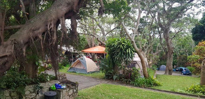 Oasis Caravan Park Camping And Chalets Uvongo Margate Kwazulu Natal South Africa Palm Tree, Plant, Nature, Wood, Tent, Architecture, Tree