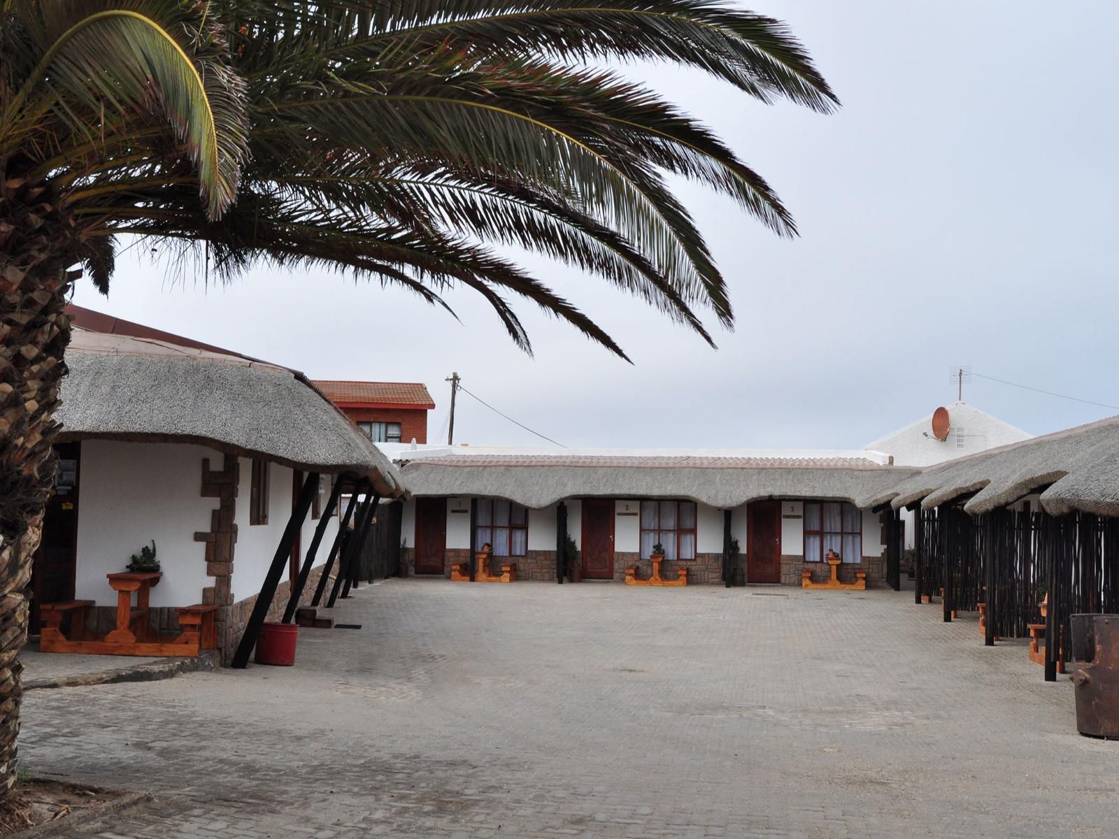 Obelix Guesthouse, Palm Tree, Plant, Nature, Wood