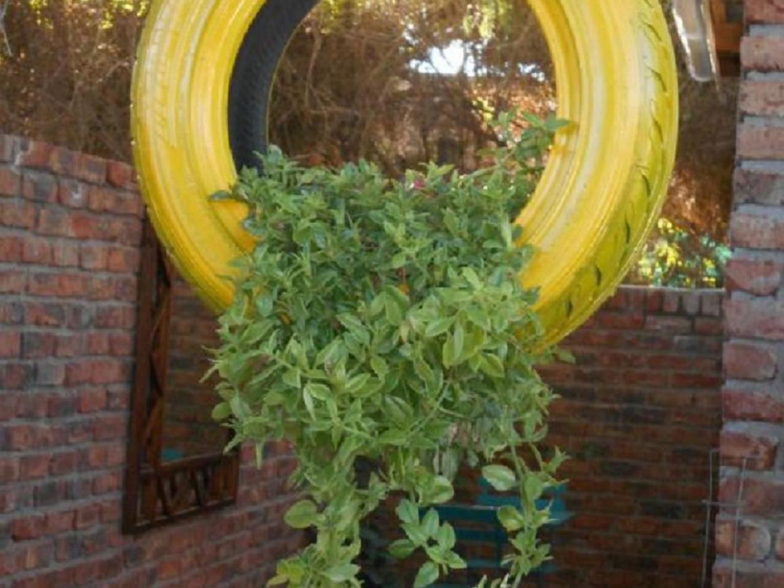 Obesa Lodge Graaff Reinet Eastern Cape South Africa Tree, Plant, Nature, Wood, Food, Garden, Vegetable