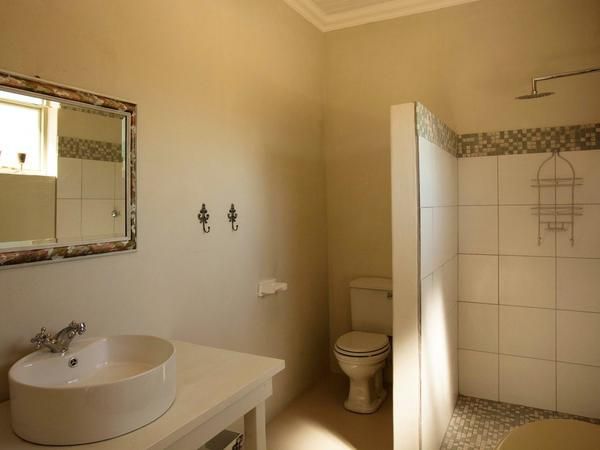 Obiekwa Country House Riebeek Kasteel Western Cape South Africa Sepia Tones, Bathroom