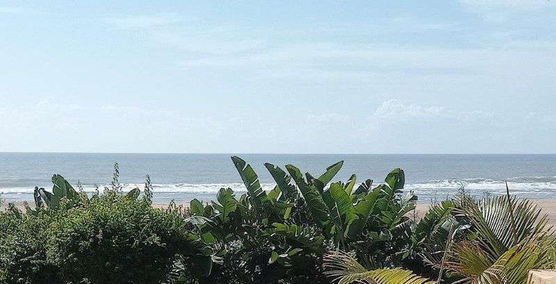 Ocean Breeze 23 Kingsburgh Kwazulu Natal South Africa Beach, Nature, Sand, Palm Tree, Plant, Wood