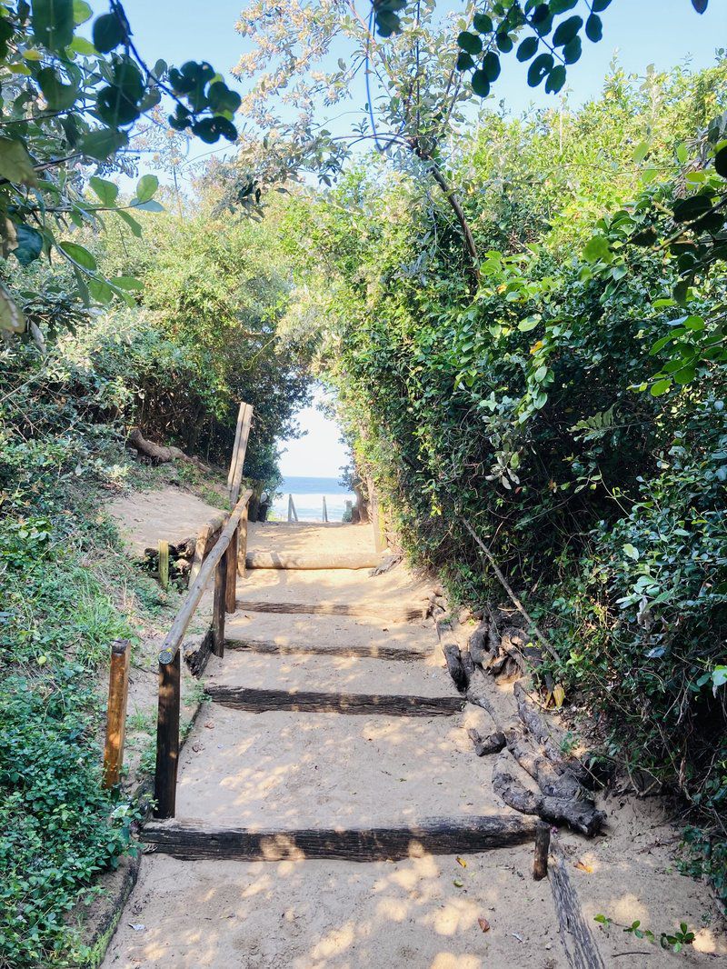 Ocean Breeze 9 Winklespruit Kingsburgh Kwazulu Natal South Africa Bridge, Architecture, Forest, Nature, Plant, Tree, Wood, River, Waters